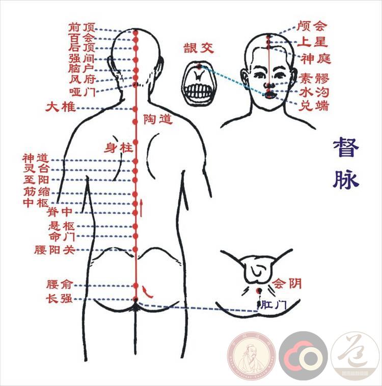 李懋和：什么是任督二脉